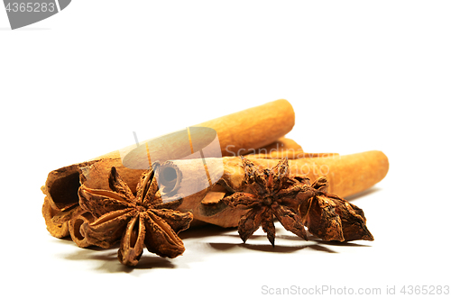 Image of Cinnamon stick and star anise spice