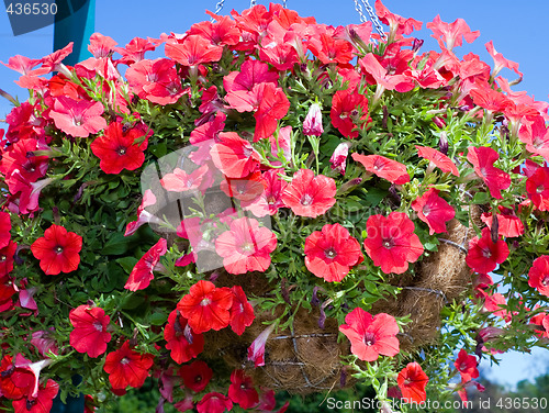 Image of Basket of Flowers