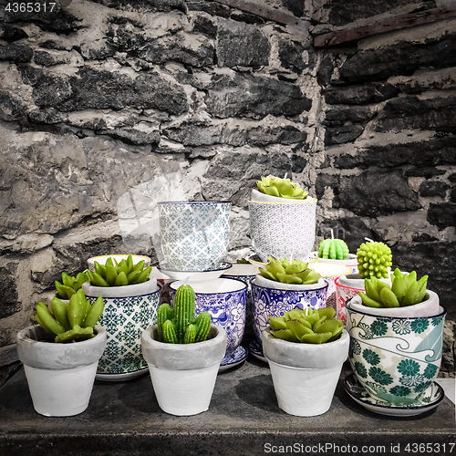 Image of Artificial succulent plants on stone background