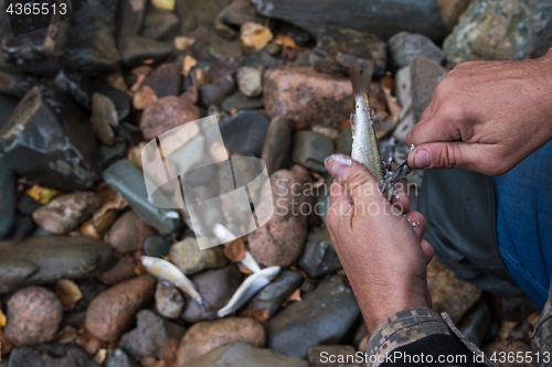 Image of Fisherman cleaning fish