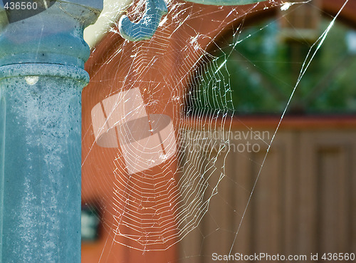 Image of Cobweb