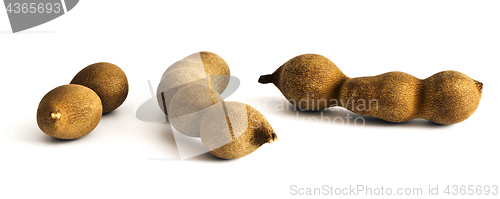 Image of Three raw tamarind fruits