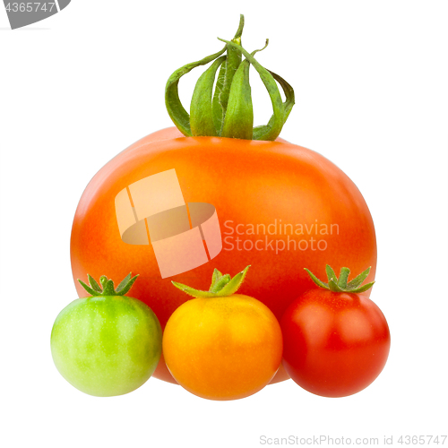 Image of Tomatoes