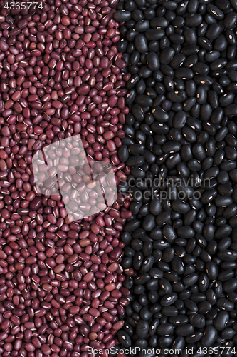 Image of  Black beans and adzuki beans (azuki, aduki, red mung beans). Ba