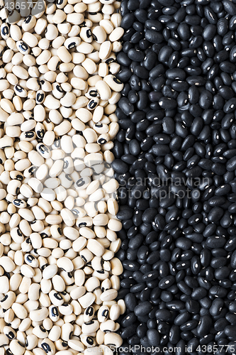 Image of  Black beans and black-eyed peas (black-eyed beans or goat peas)