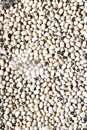 Image of Black-eyed peas (black-eyed beans or goat peas). Background