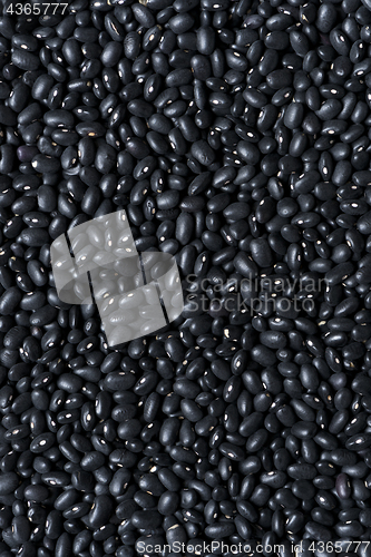 Image of  Black beans. Background