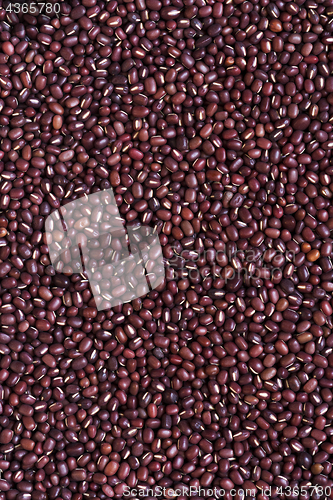 Image of Adzuki beans (azuki, aduki, red mung beans). Background