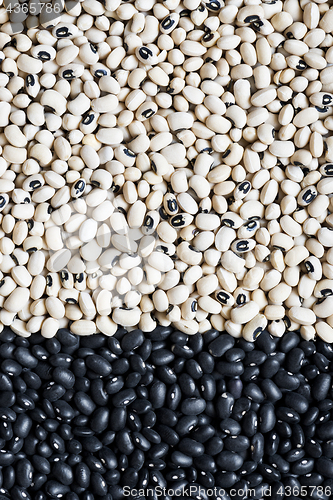 Image of  Black beans and black-eyed peas (black-eyed beans or goat peas)