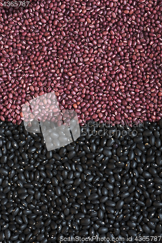 Image of  Black beans and adzuki beans (azuki, aduki, red mung beans). Ba