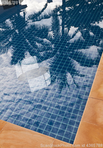 Image of Palm trees reflection in blue water