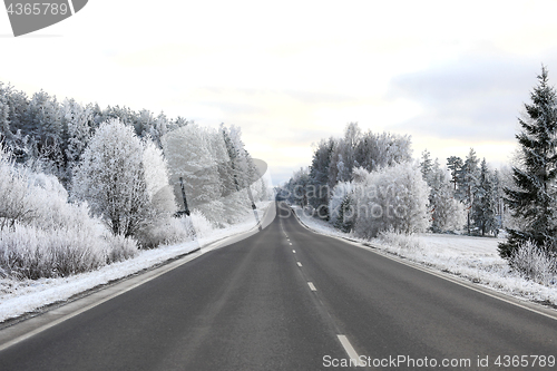 Image of Empty Winter Highway with Hoarfrost