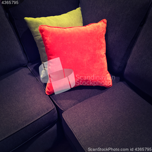 Image of Bright velvet cushions on a dark sofa