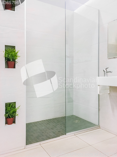 Image of Modern renovated shower with plant decorations