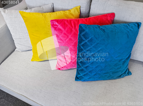 Image of Multicolored cushions decorating a gray sofa