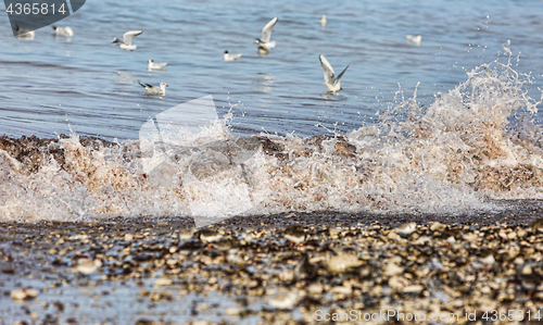 Image of Waves on the Shore