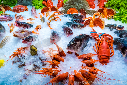 Image of Various seafood on the shelves of the fish market