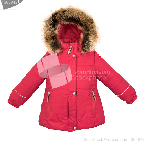 Image of Women winter jacket