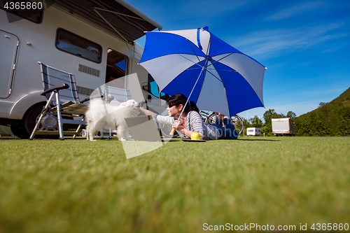 Image of Woman on the grass with a dog looking at a laptop