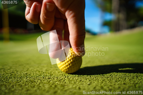 Image of Mini Golf yellow ball on green grass at sunset