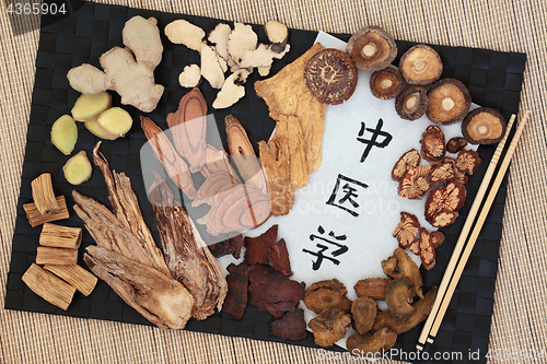 Image of Chinese Alternative Medicine 