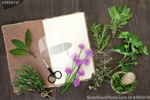 Image of Fresh Herbs for Drying  