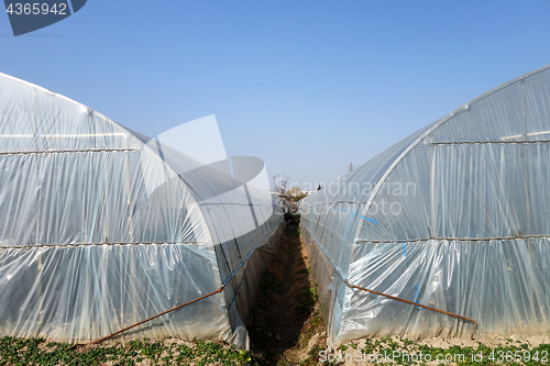 Image of Large greenhouse for plants in the autumn