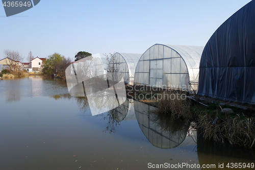 Image of Large greenhouse for plants in the autumn