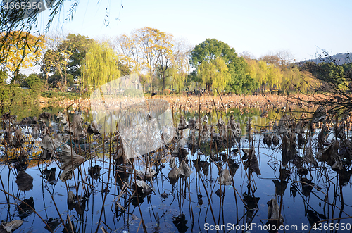 Image of Landscape of West lake in Hangzhou, China