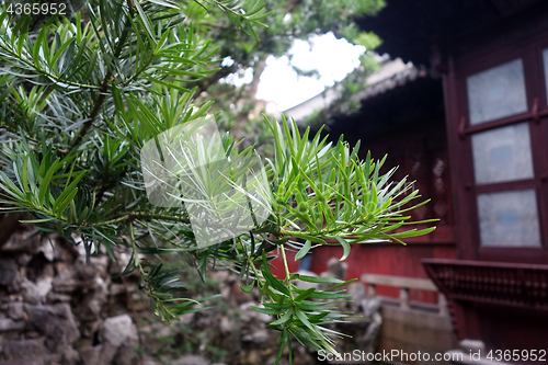 Image of Yu Yuan (Yu Garden)in Shanghai, China