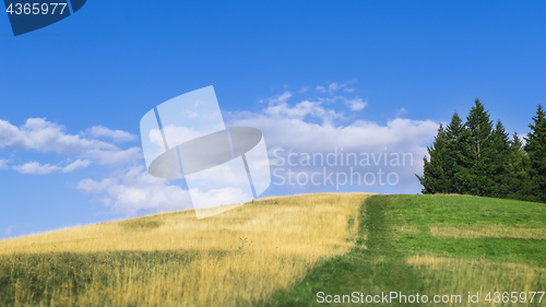 Image of warm summer hill