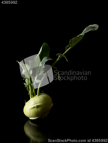 Image of Kohlrabi (German turnip or turnip cabbage) with leaves