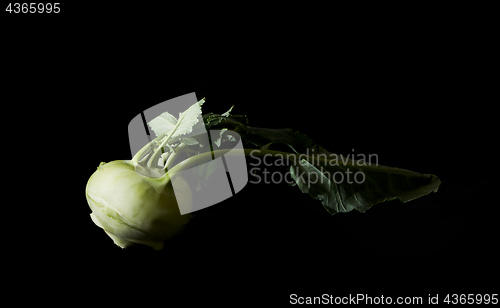 Image of Kohlrabi (German turnip or turnip cabbage) with leaves