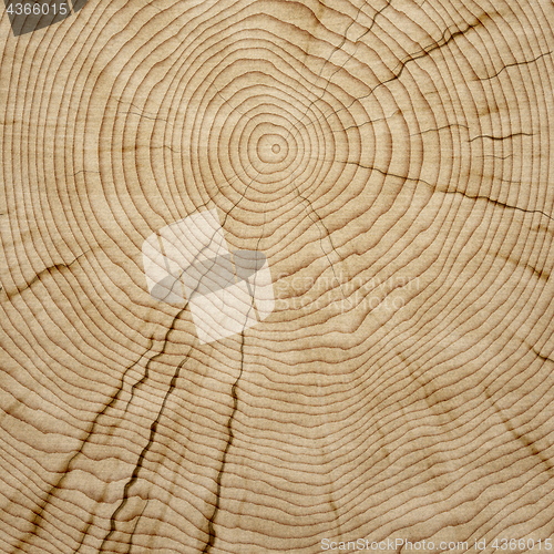 Image of wooden background texture