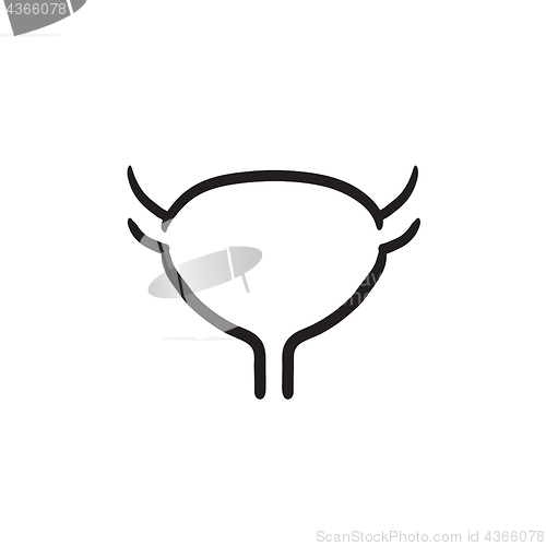 Image of Urinary bladder sketch icon.