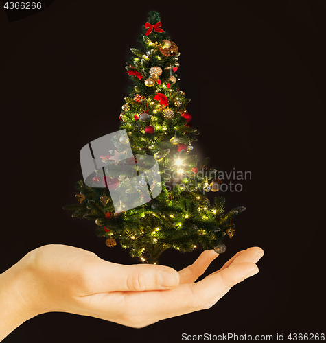 Image of hand holding decorated christmas tree