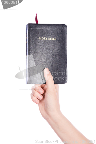 Image of Woman hand holding the Holy Bible on white