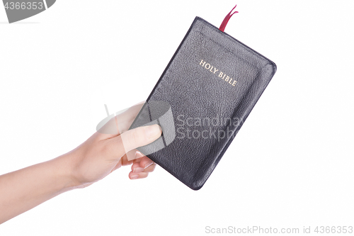 Image of Woman hand holding the Holy Bible on white