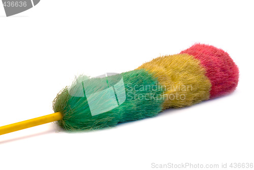 Image of Feather Duster
