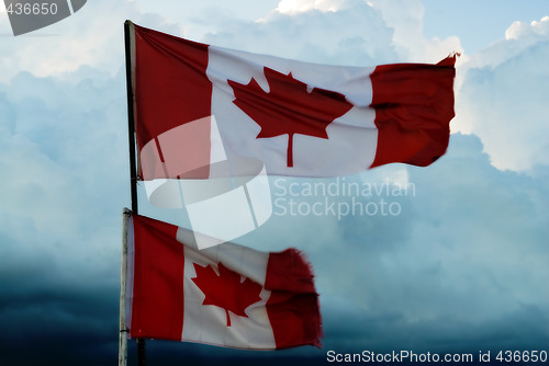 Image of Canadian Flags