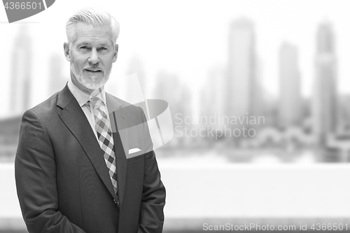 Image of Senior businessman in front of the big city