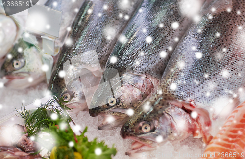 Image of fresh fish on ice at grocery stall