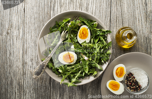 Image of Salad dandelion