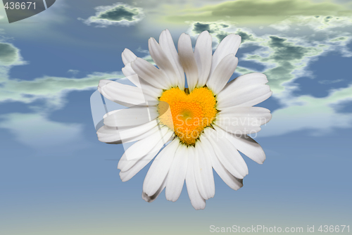 Image of Love