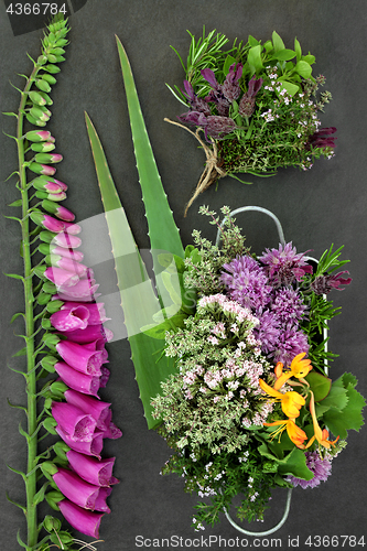 Image of Herbs and Flowers for Herbal Medicine