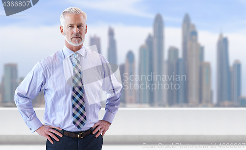 Image of Senior businessman in front of the big city