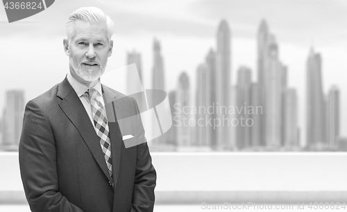 Image of Senior businessman in front of the big city