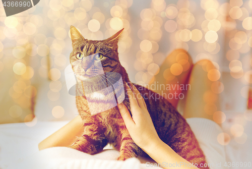 Image of young woman with cat lying in bed at home