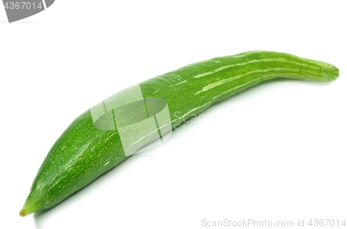 Image of Snake gourd isolated