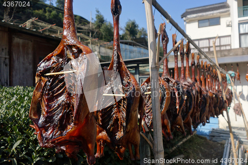 Image of The duck dried hanging for sale